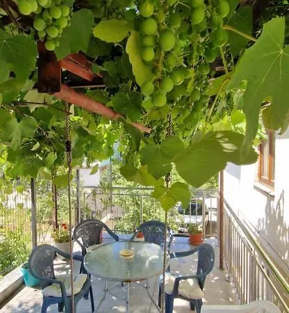 Family With Garden Saraievo