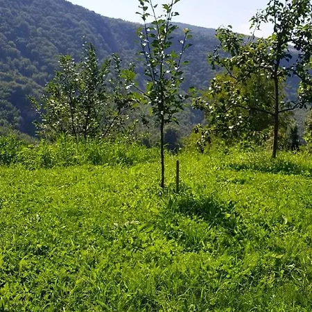 Family With Garden * Saraievo