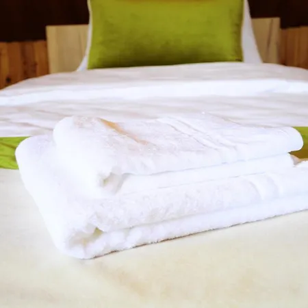 Family With Garden Apartment Sarajevo