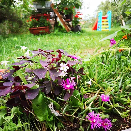 Family With Garden