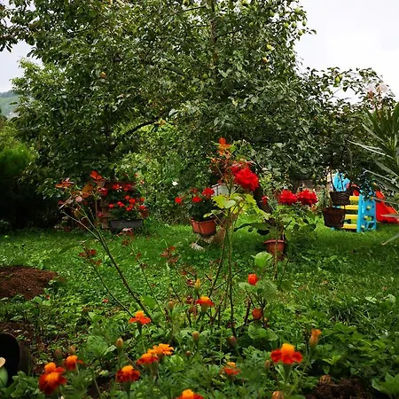 Family With Garden *
