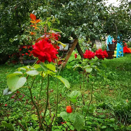 Family With Garden * Sarajevo
