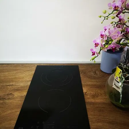 Apartment Family With Garden