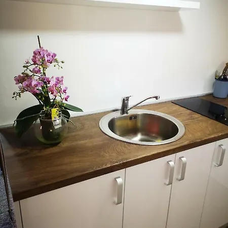 Family With Garden Sarajevo